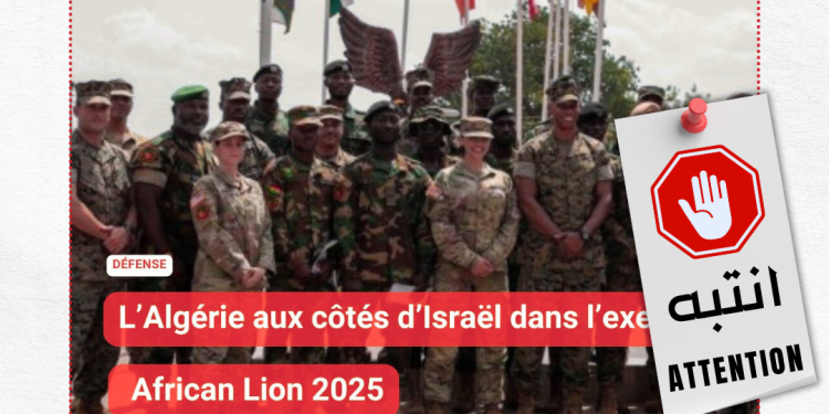 هل ستشارك الجزائر في مناورات العسكرية الأسد الإفريقي 2025 ؟ إليك الحقيقة